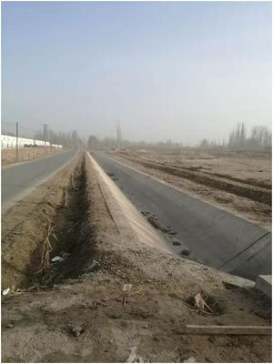 萬物新生初春月 民族融情植基層